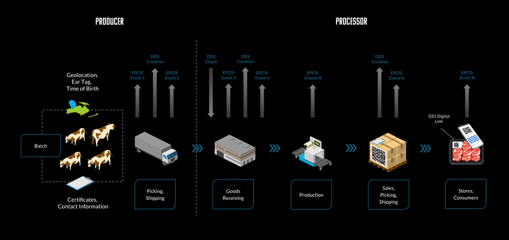 EN_EUDR_GS1_EPCIS_process